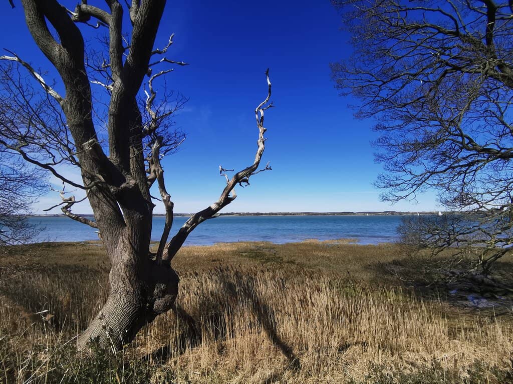 Coastal Path Walk