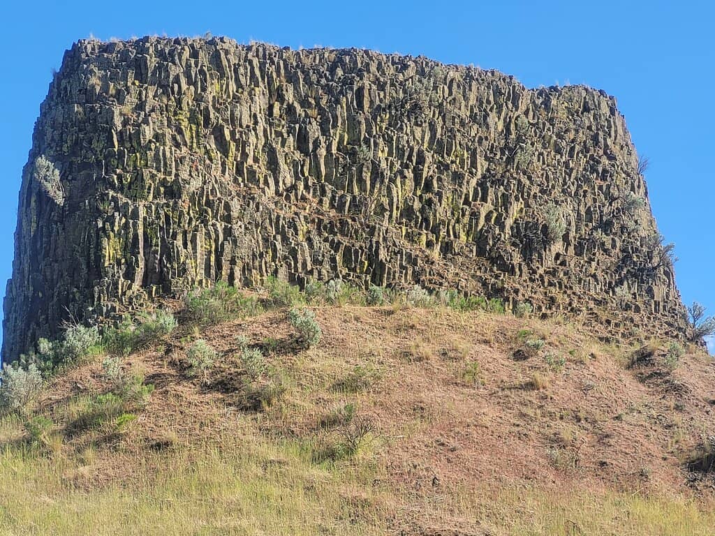 Vertical photo