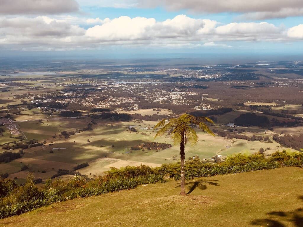 Cambewarra Lookout Cafe