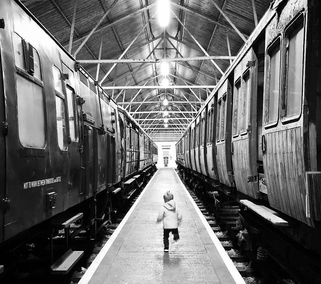 Explore the Museum Exhibits