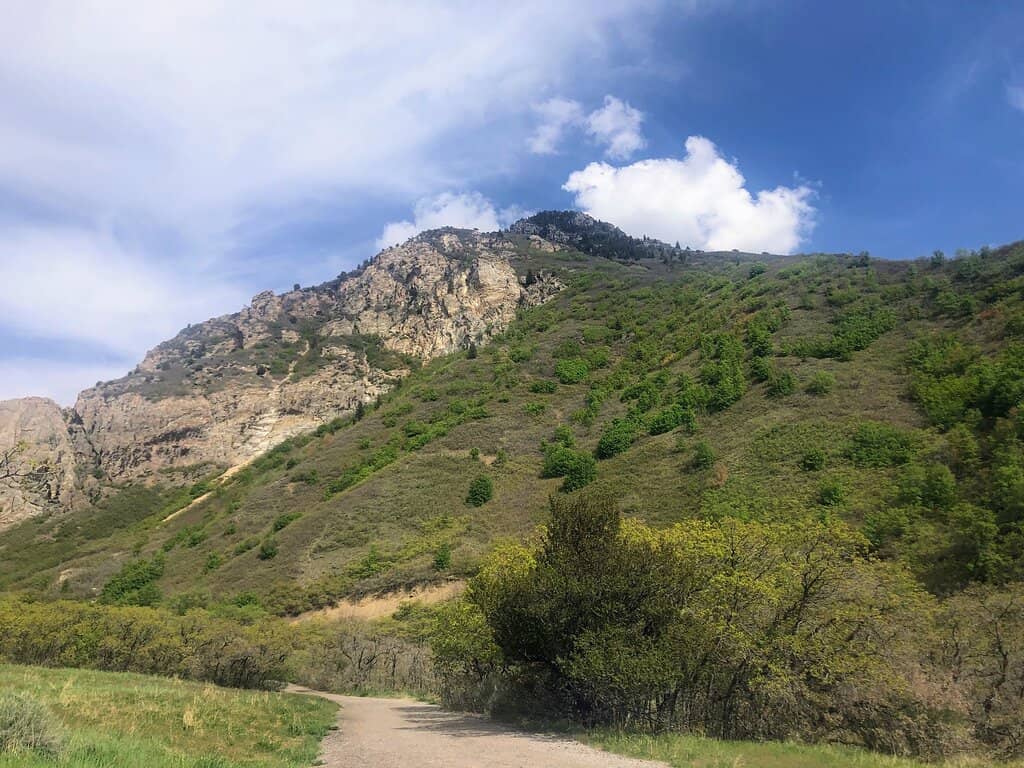 Scenic Canyon Views
