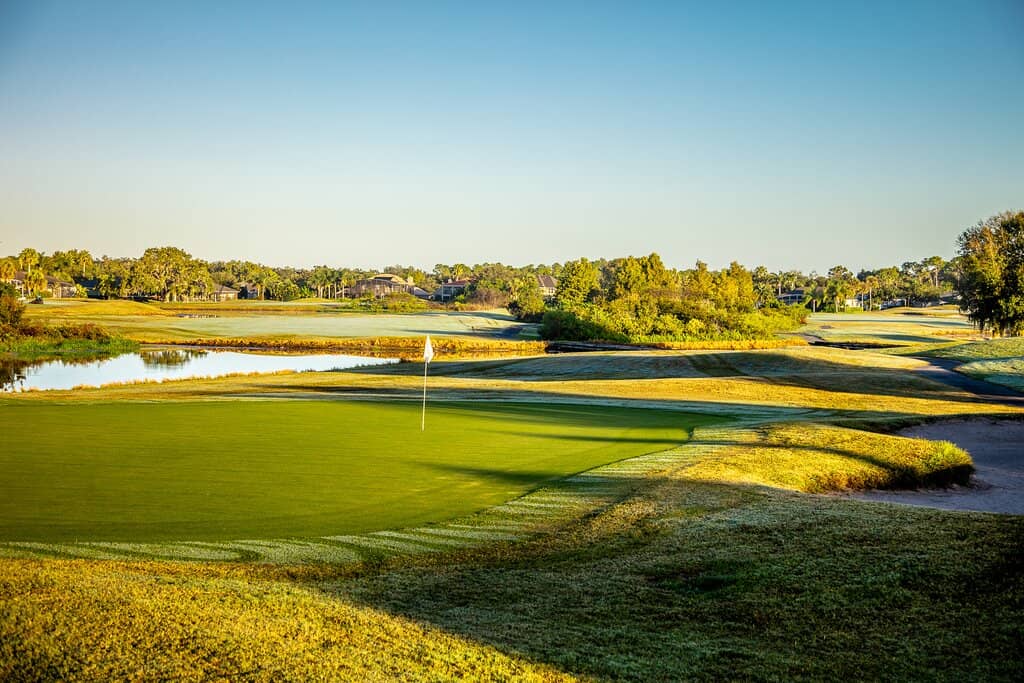 Clubhouse & Amenities