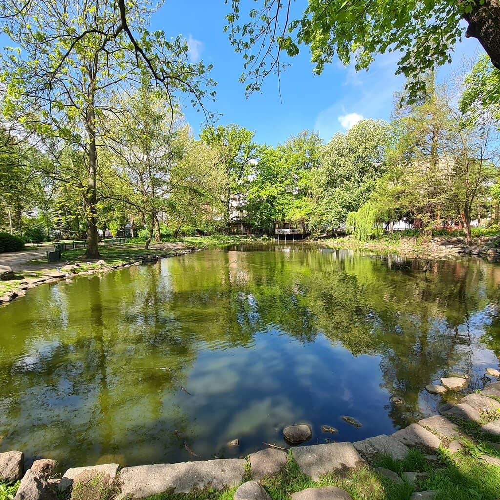 Serene Ponds