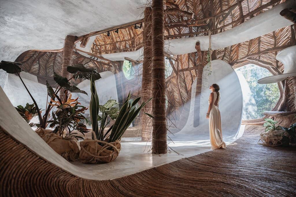 Jungle Art Sanctuary
