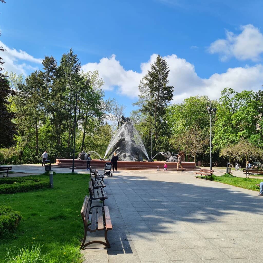 Tranquil Park Setting