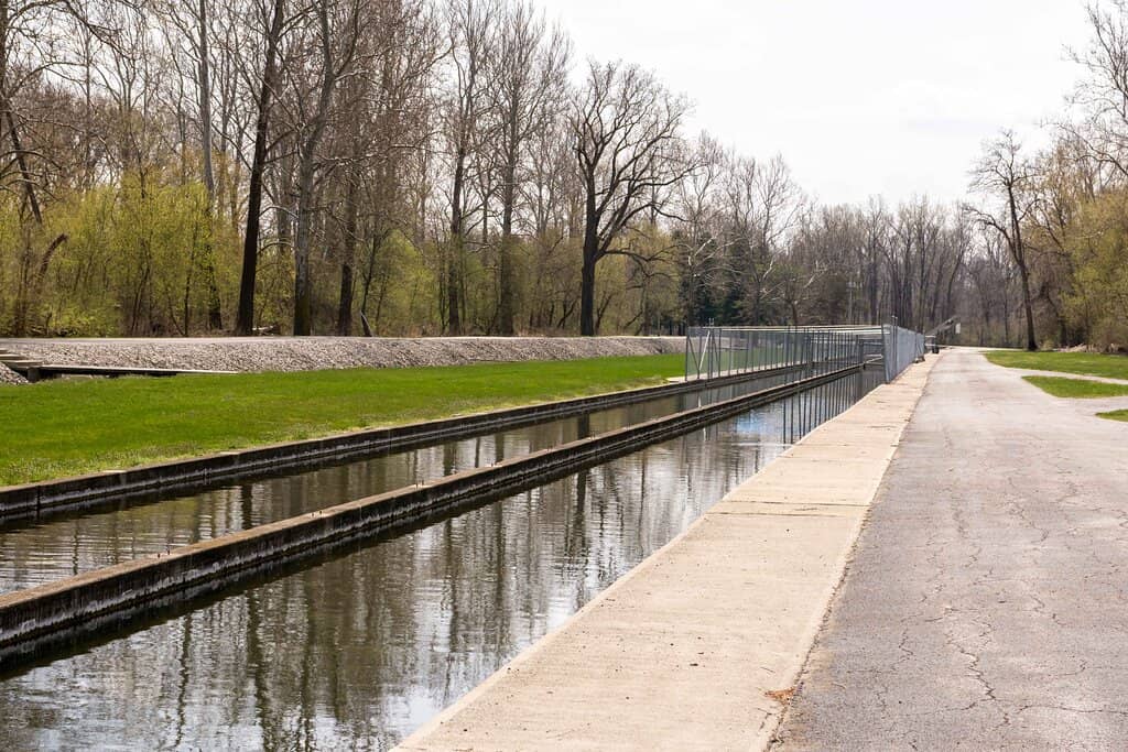 Steelhead Trout Stocking