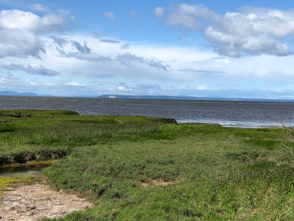 Waterfowl & Bird Watching