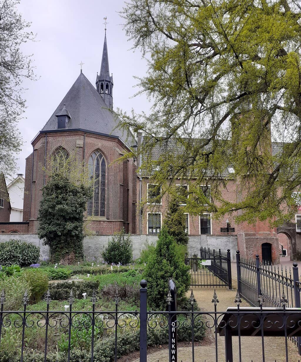 Boerhaave's Legacy