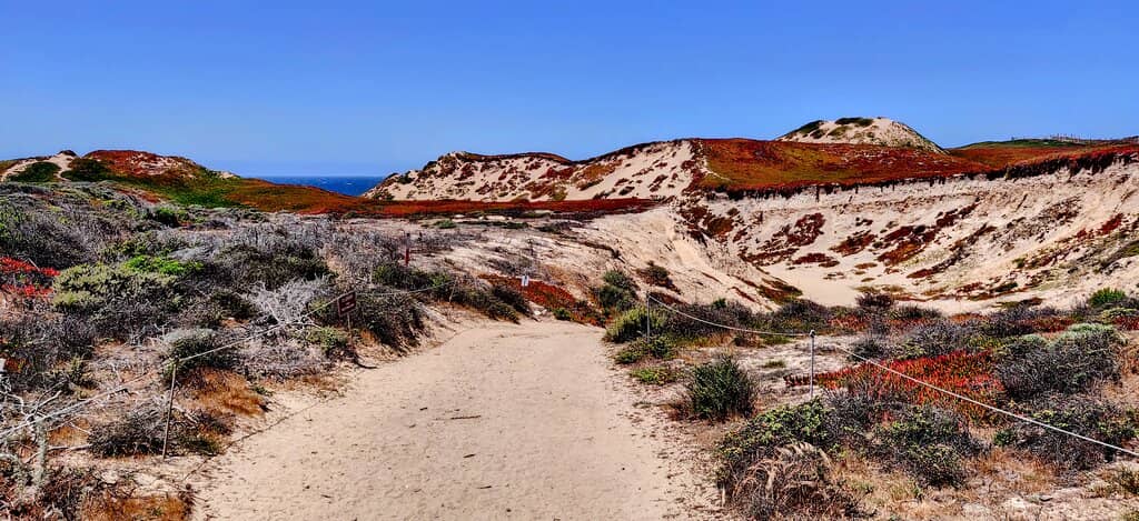 Paved Coastal Trails