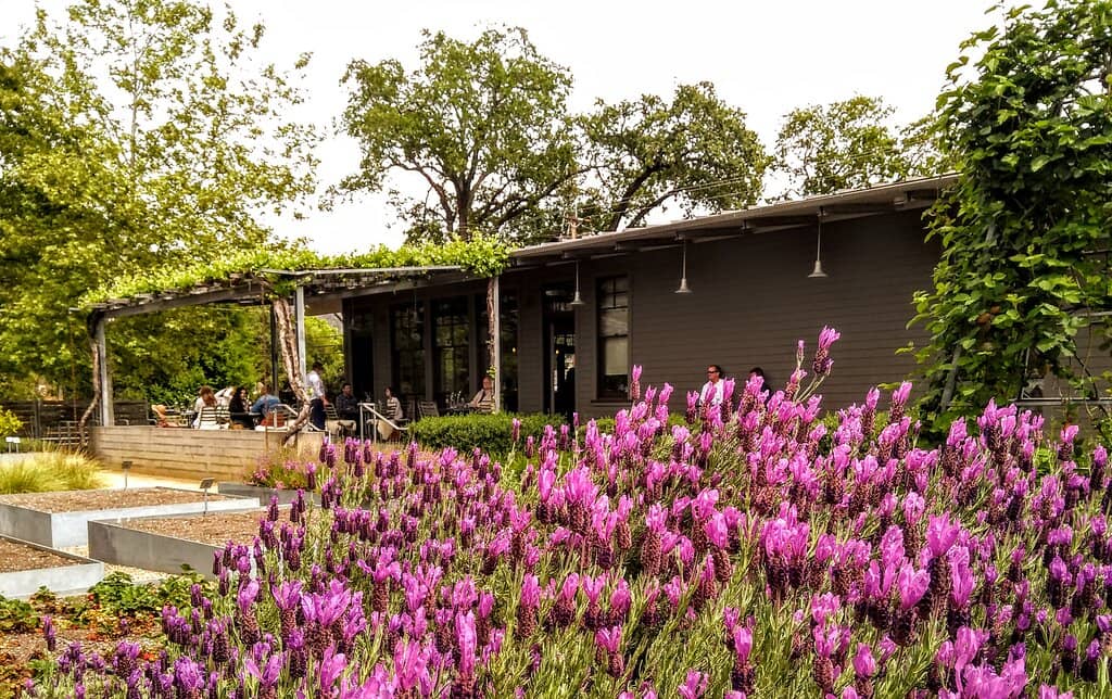 Serene Tasting Experience