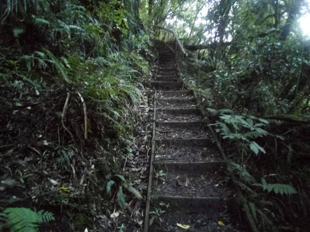 Pukenae Nae Lookout Views