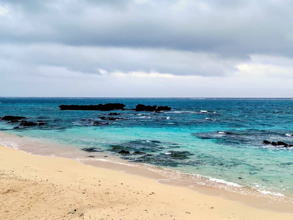 Vibrant Underwater World