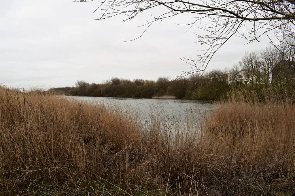 Grote Markt Fountains