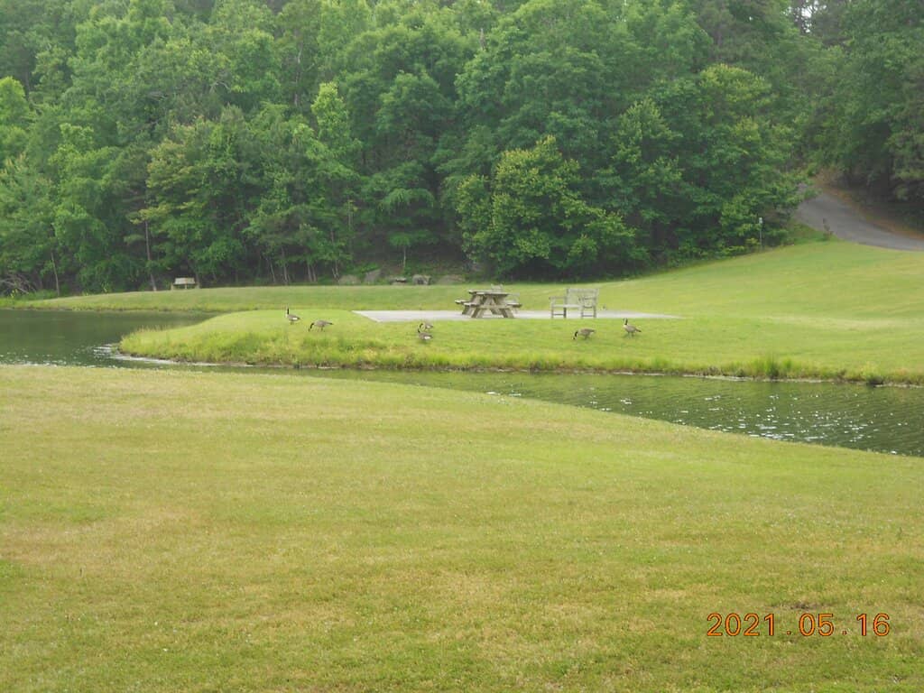 Yoga & Wellness Events