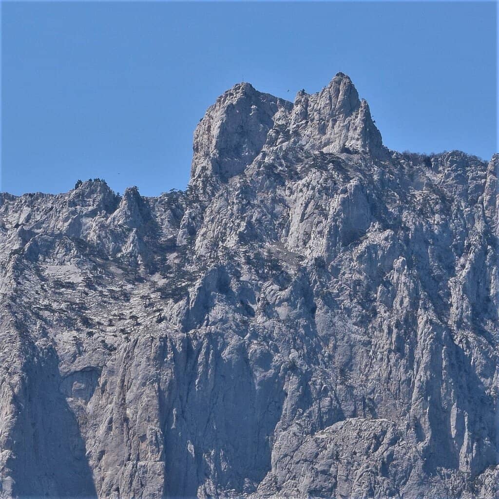Vertical photo
