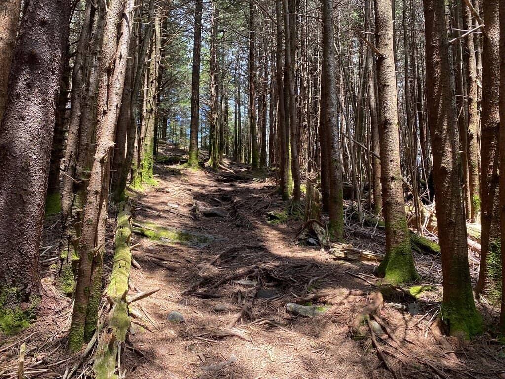 Summit Trail Adventure
