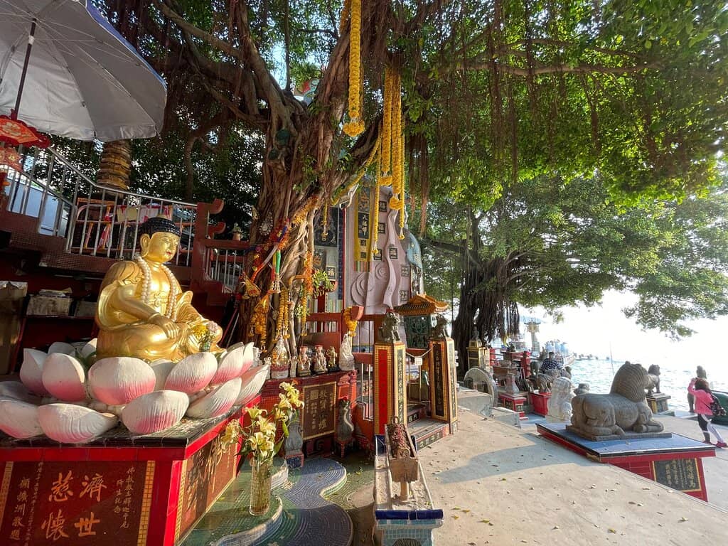 The Pulse Shopping Mall