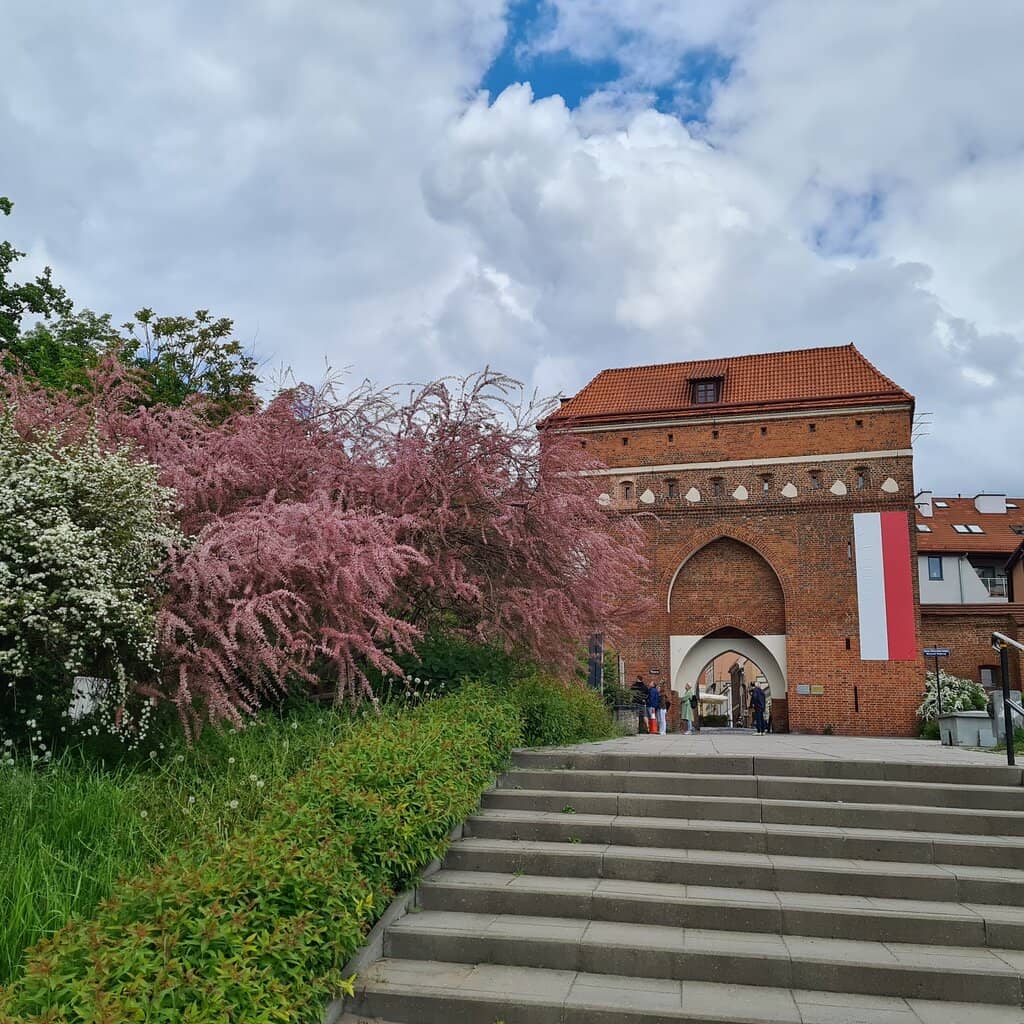 Gothic Gate Tower