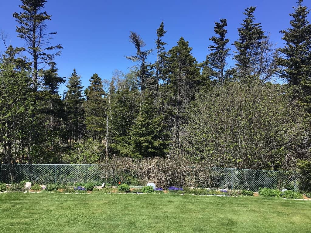 Unique Coffee Creations