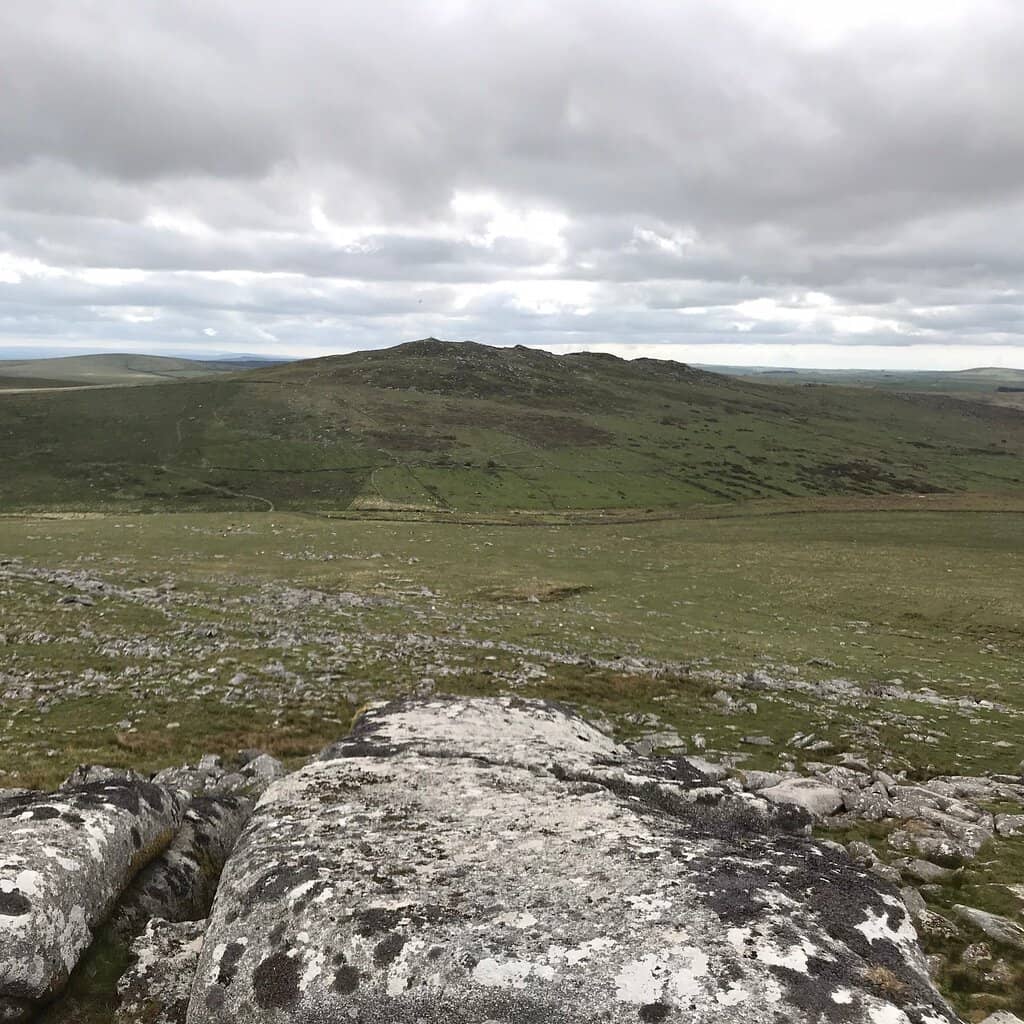 Bodmin Moor Wildlife