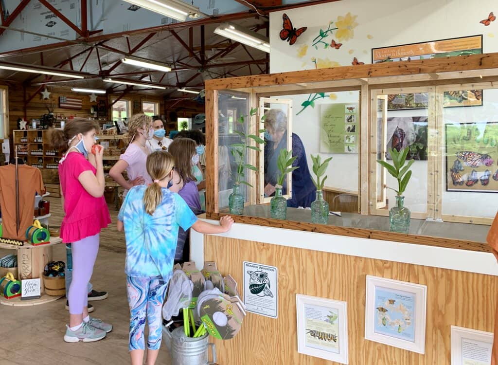 Heritage Apple Varieties