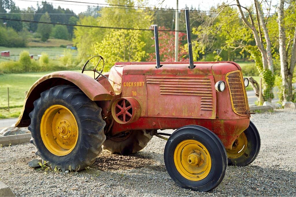 Honey Tasting & Local Products