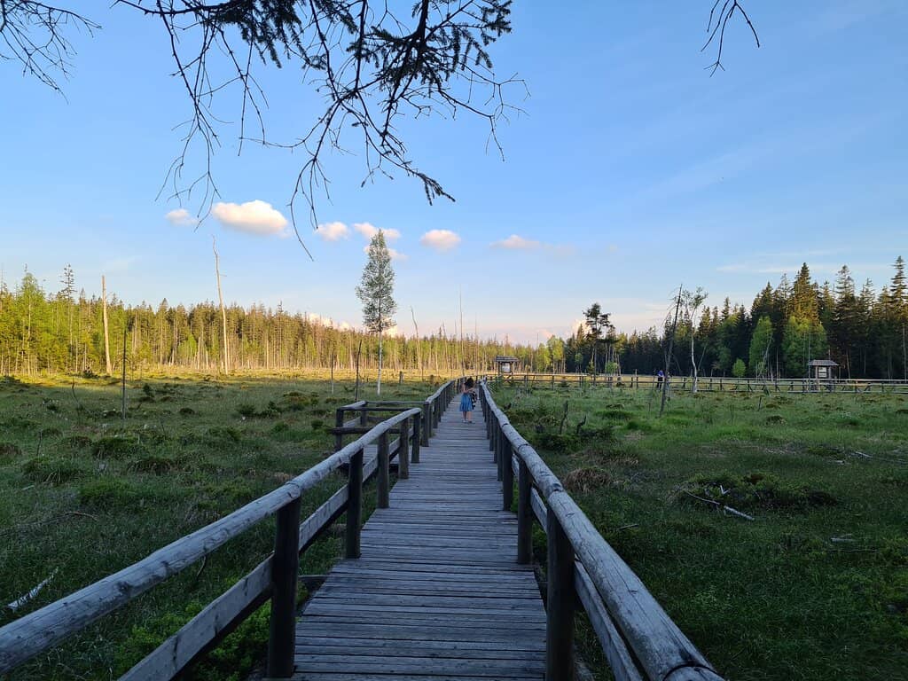Nature and Plant Learning