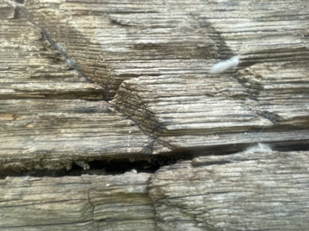 Interactive History Backpack