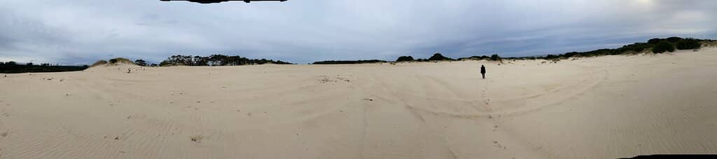 Sandboarding Fun