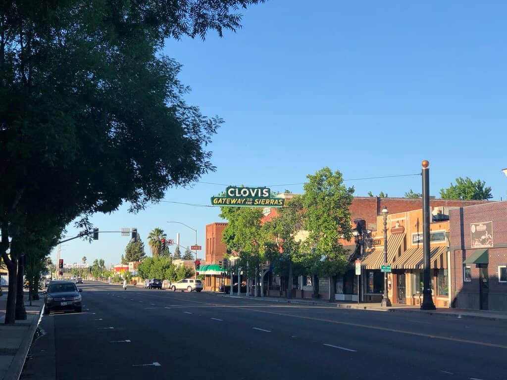 Monstera Coffee Studio