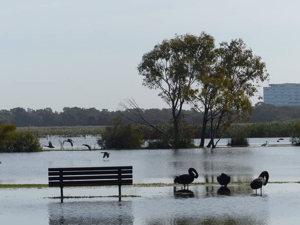 Herdsman Lake Discovery Centre