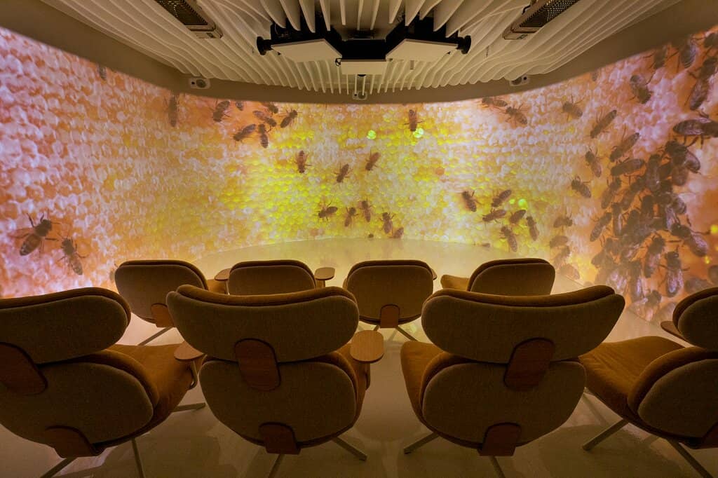 Immersive Bee VR Theatre