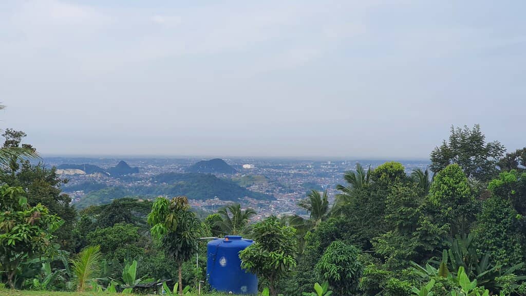 Instagrammable Treehouses