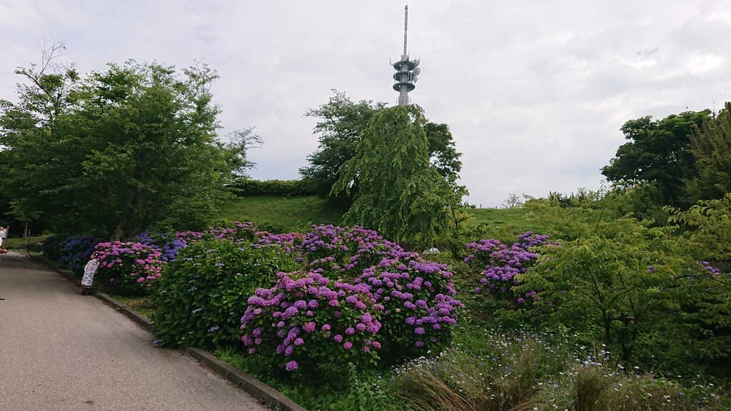 Vertical photo