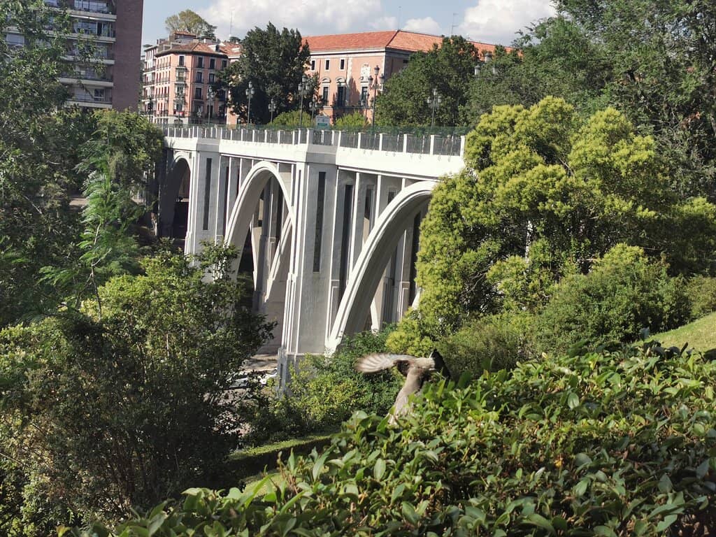 Panoramic City Vistas