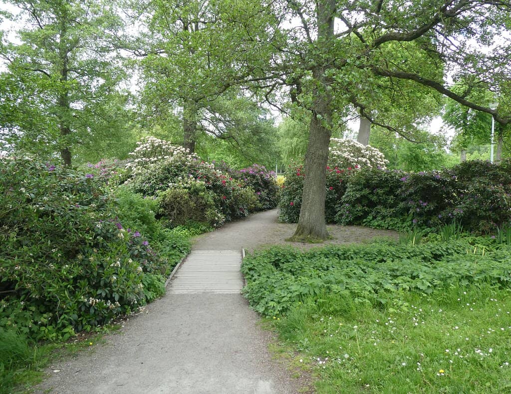 Lakeside Relaxation Spots