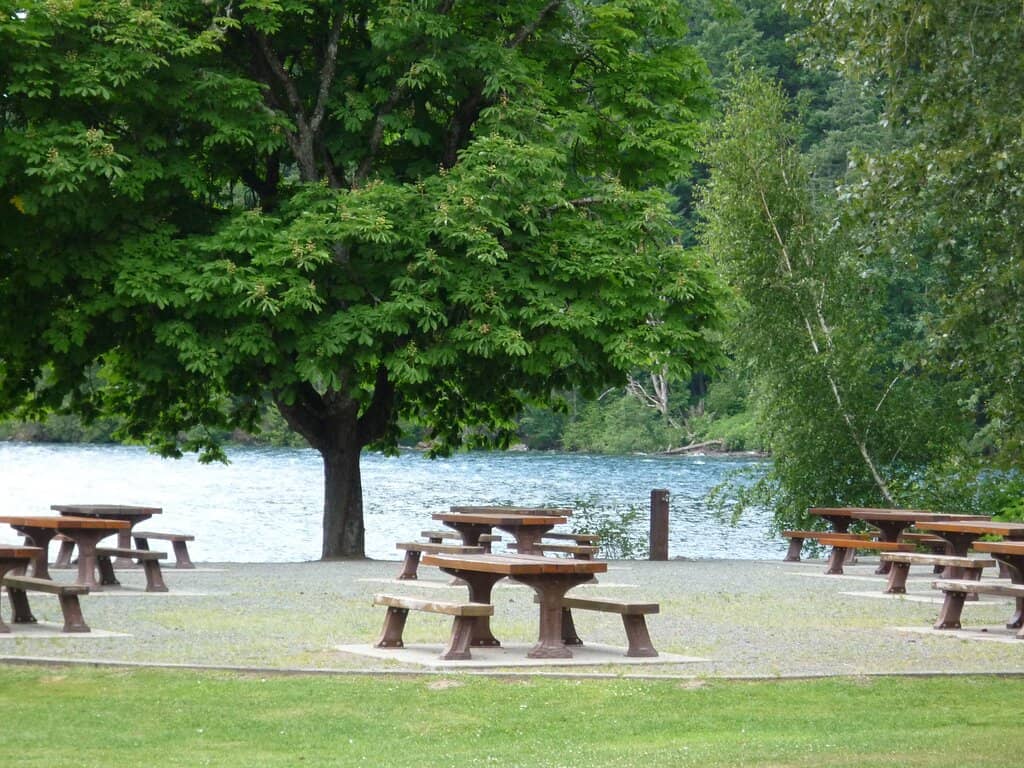 Kid-Friendly Hiking Trails