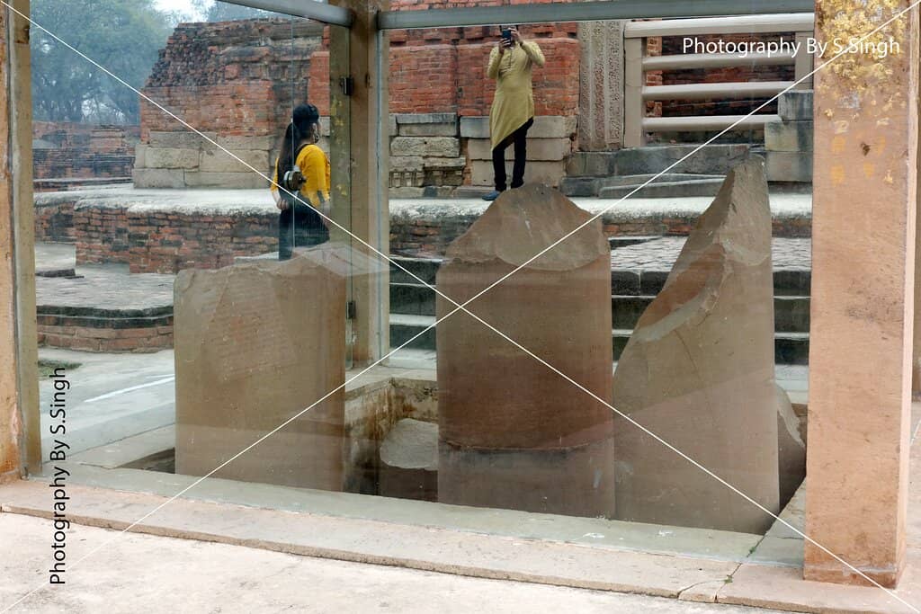 Peaceful Park and Gardens