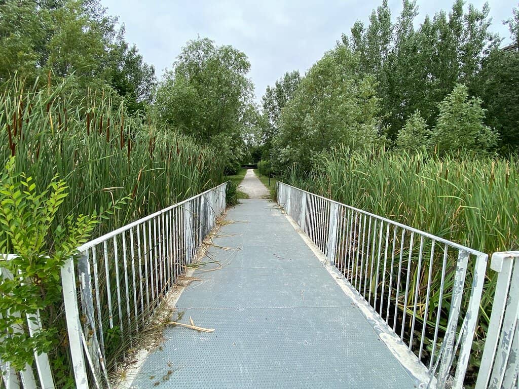 Green Open Spaces