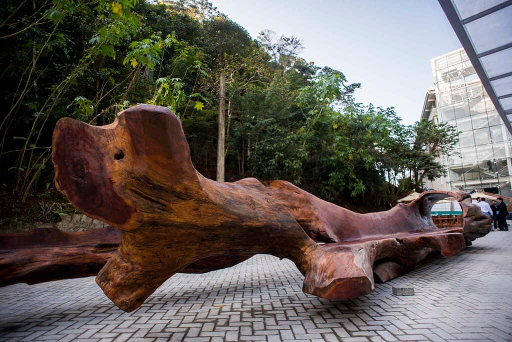 Biodiversity Exhibition