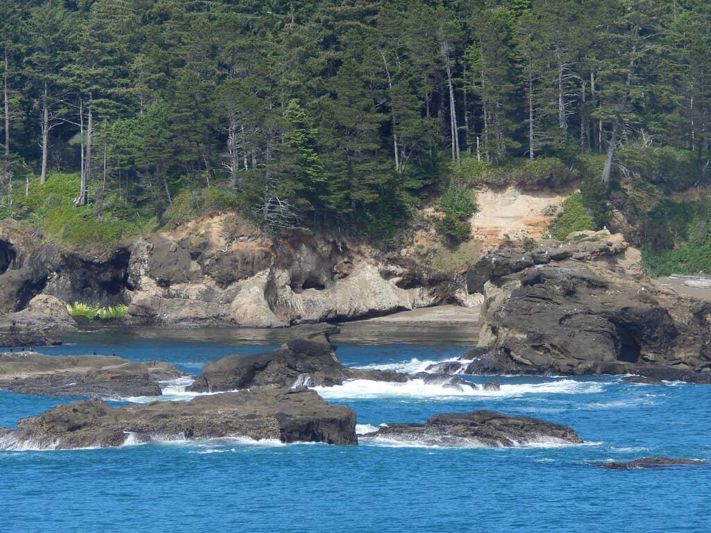 Beachcombing & Agate Hunting