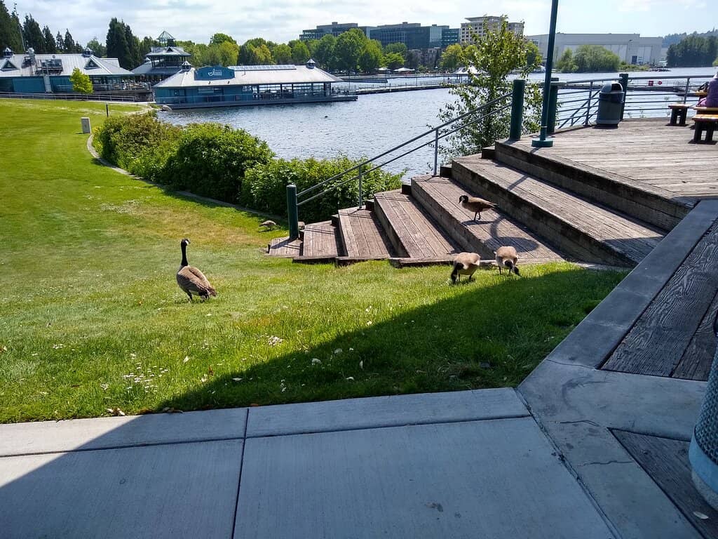 Playground & Picnic Spots