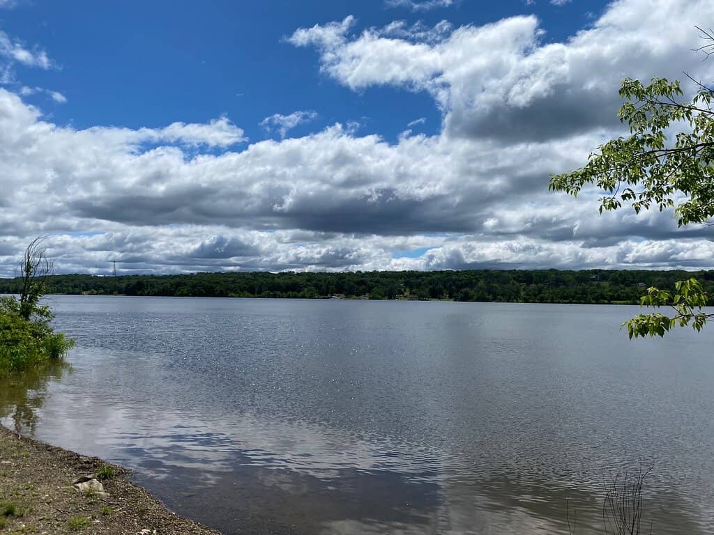 Nature Center Exhibits
