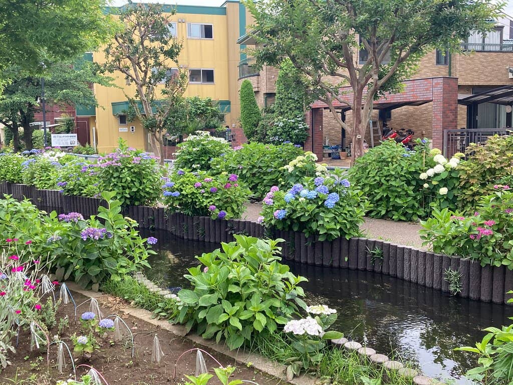 Vibrant Tulip Fields