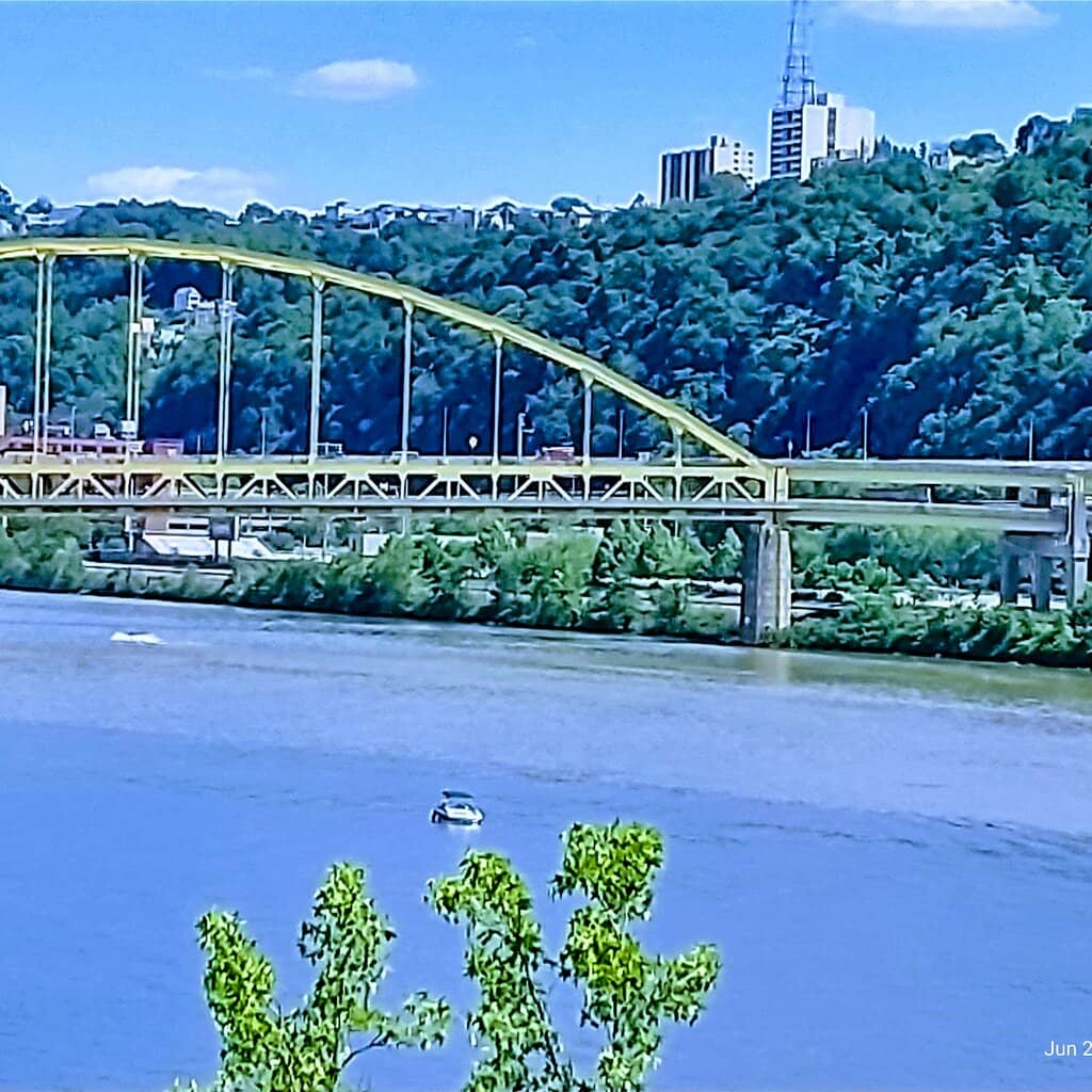 Vertical photo