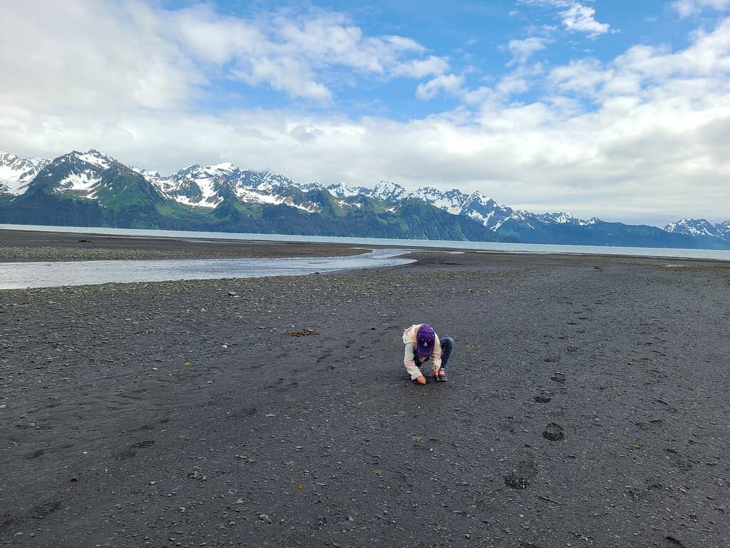 Jellyfish Sightings