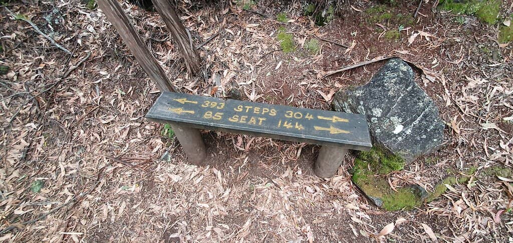 Leven Canyon Circuit Track