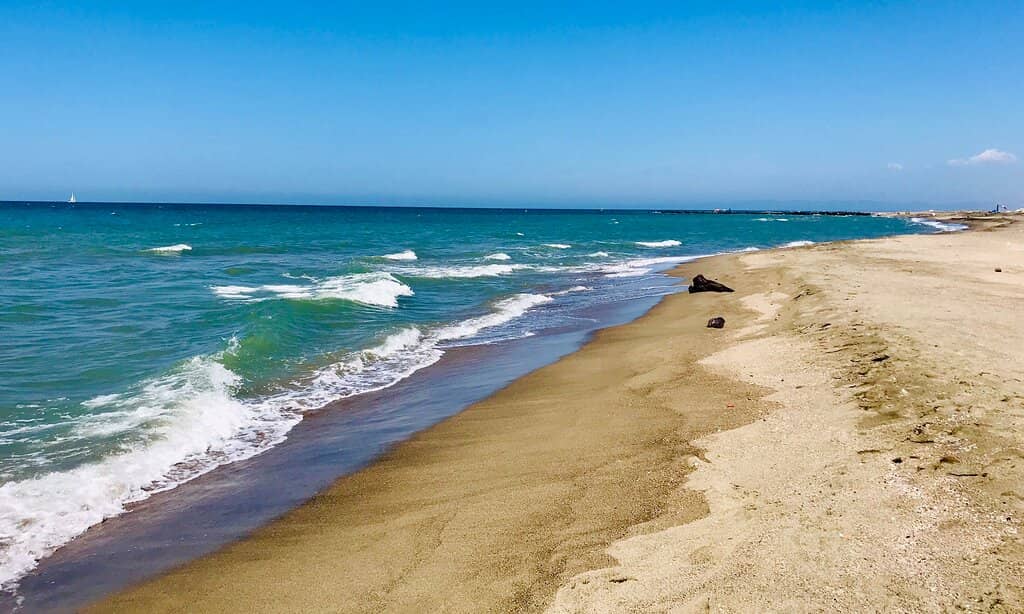 Summer Night Camping Spot