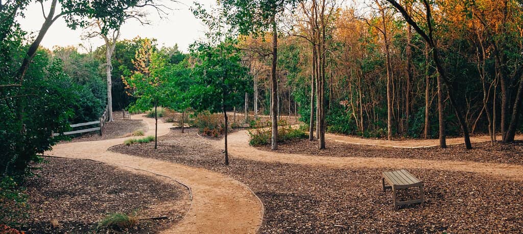 Vibrant Botanical Gardens