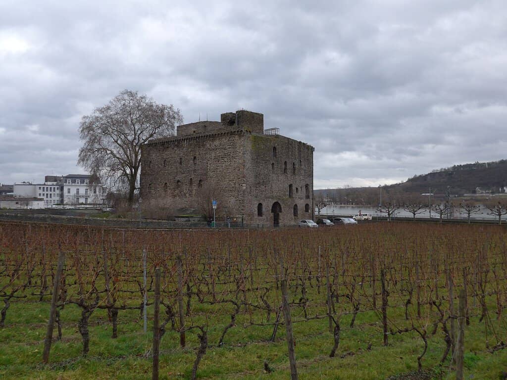 Rhine River Views
